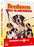 Beethoven 1-6 (Box Set) (6 Disk)